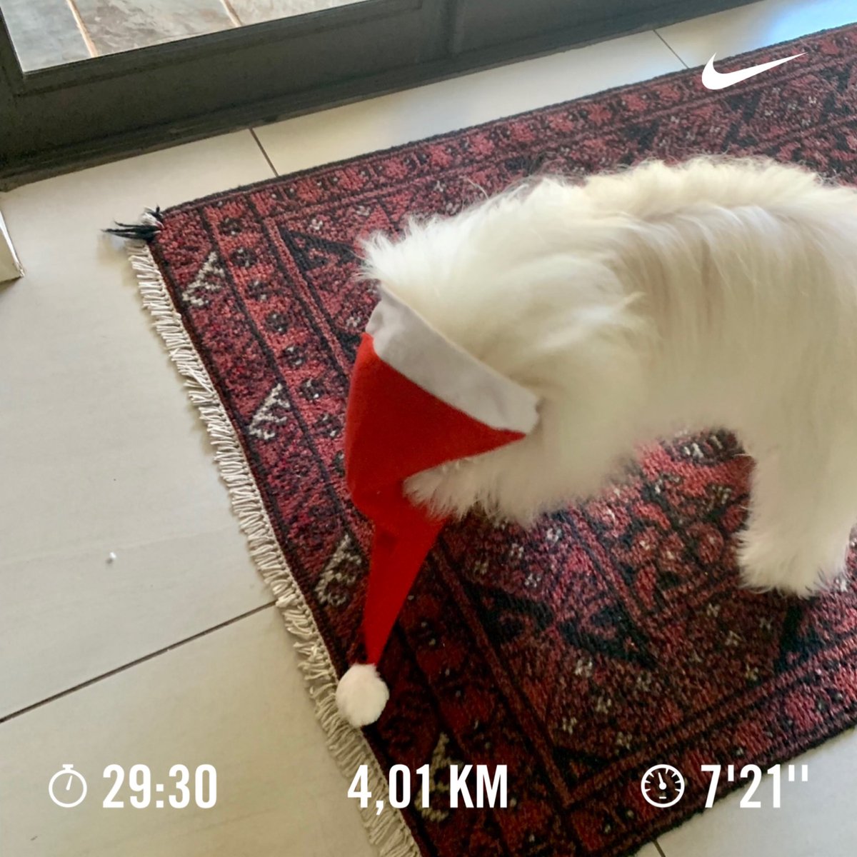 MerchSouth's tweet photo. Hello 2022 🌠
#1strun #JanuaryGreetings
#FetchYourBody2022
#RunningWithTumiSole
@RunningWithTum1 https://t.co/1KwbDoy7Gx