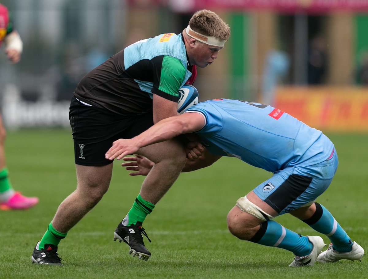 Harlequins 🃏 tweet media