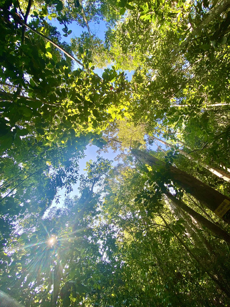 JayanakaD's tweet photo. The World 🌍 is Ours….
To Preserve, Not to Destroy!

#preserve #nature #climatechange #sdgs2030 https://t.co/UUIDT1Y9XF