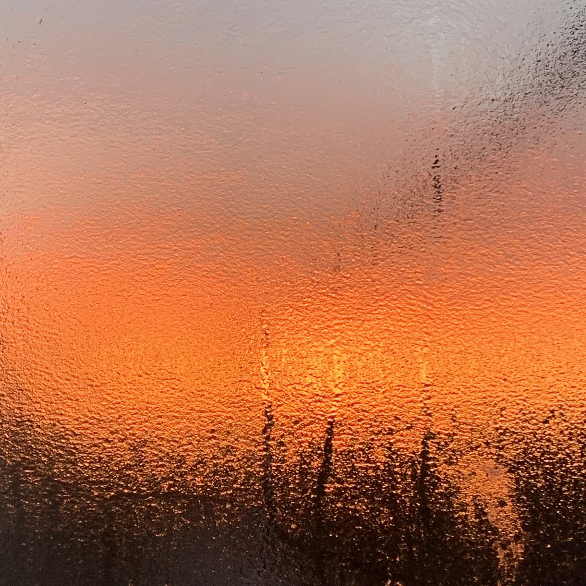 Lizadie Taste tweet media