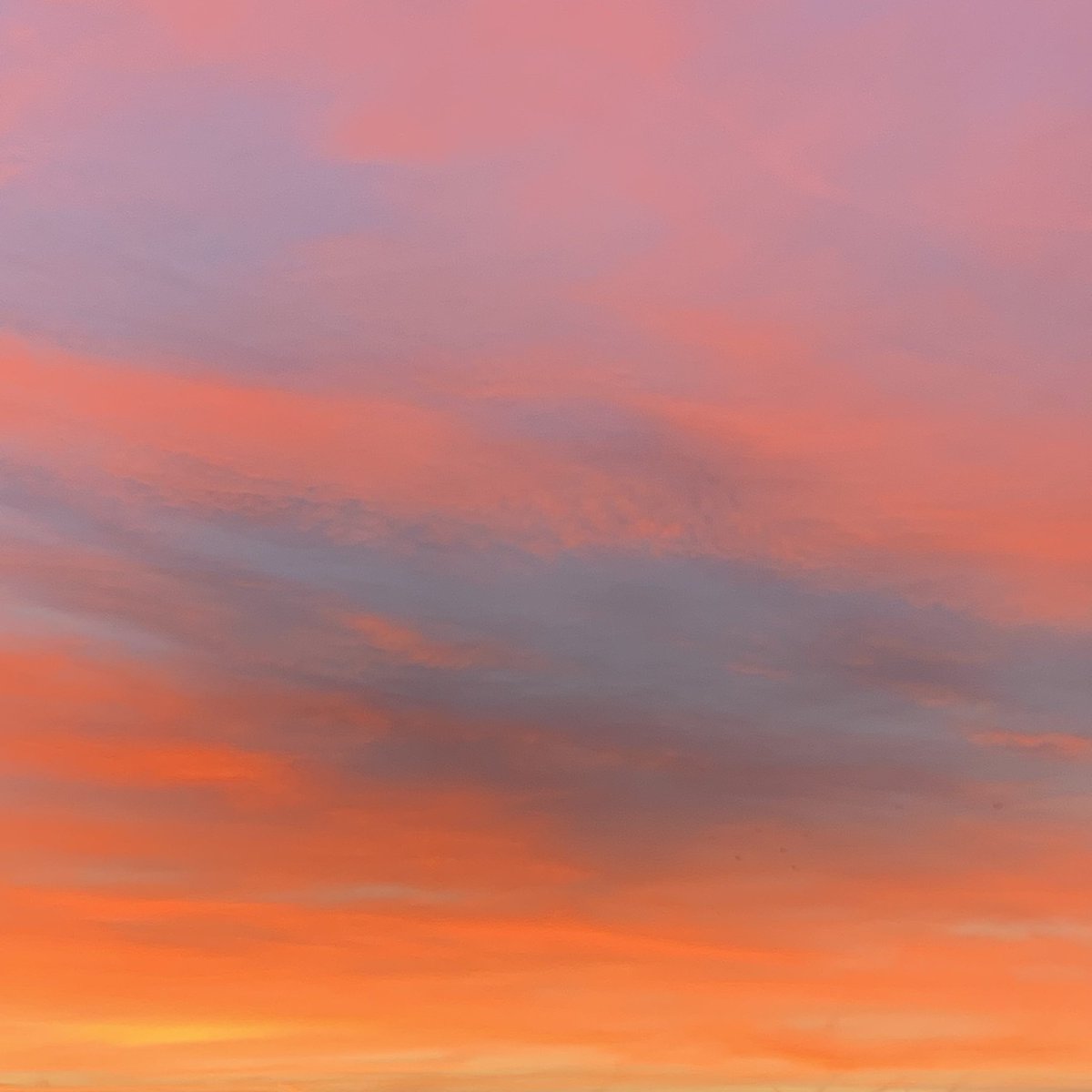 Lizadie Taste tweet media