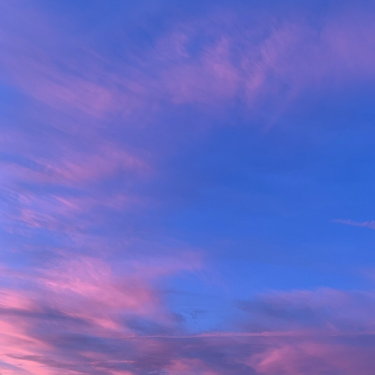 Lizadie Taste tweet media