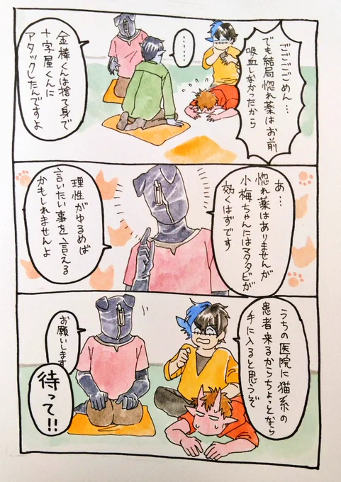 小梅ちゃんにはマタタビが効く。医薬品や嗜好品として流通。 