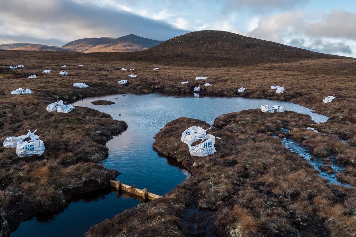 Happy New Year!

We thought we'd kick off 2022 with some good news from <a href="/MarLodgeNTS/">Mar Lodge Estate National Nature Reserve NTS</a>, where a huge area of badly eroded peat is being rewetted &amp; restored - slowing the flow of water, creating healthier habitats for rare species of fauna &amp; flora &amp; storing huge amounts of carbon.