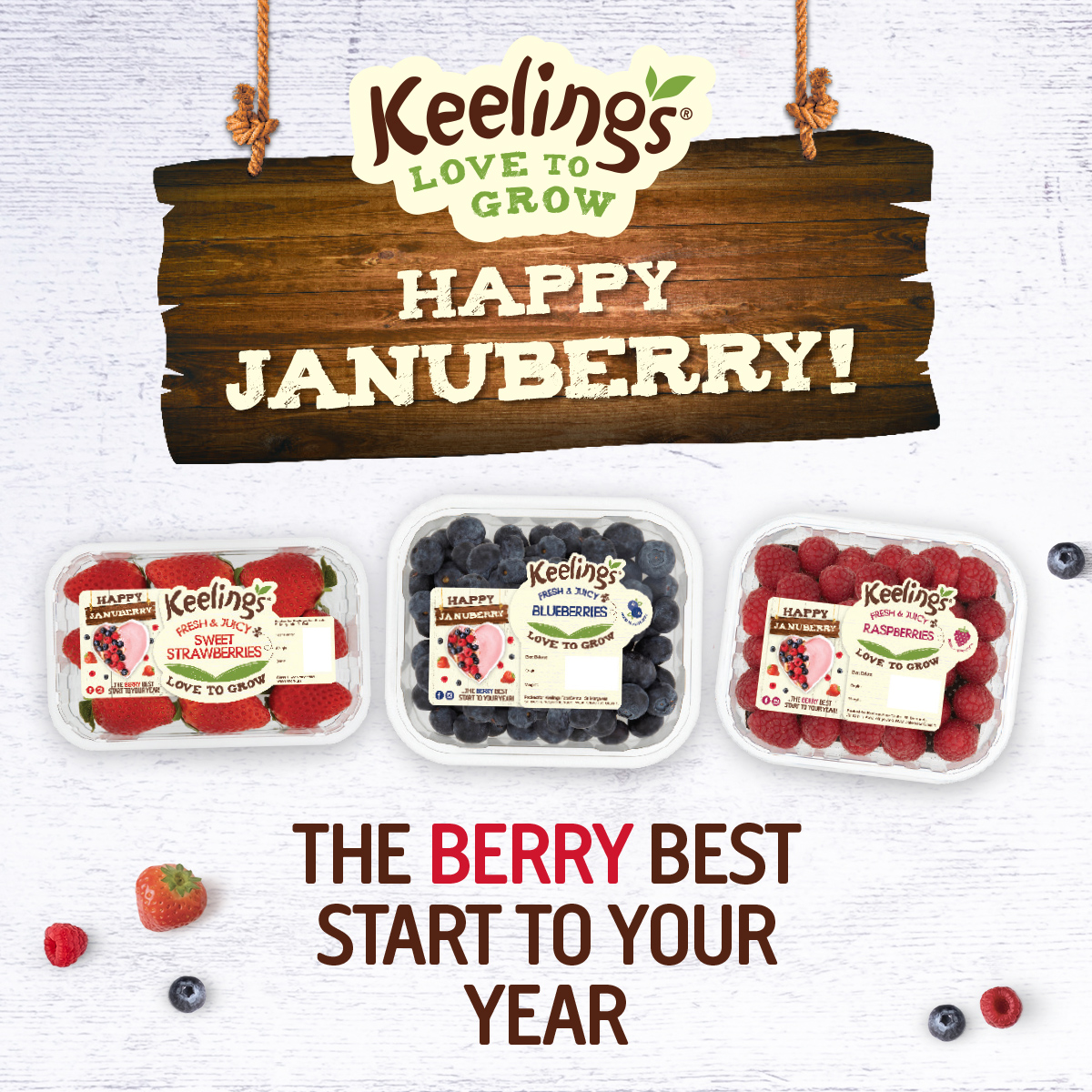 keelingsfruits's tweet photo. Keep your eyes peeled for our new Januberry packs in stores! 

Fill your trolley (and your plate!) with vitamins, antioxidants, and fibre this Januberry. 🍓🫐

#Januberry #NewPacks #Berries #Healthy #HappyandHealthy #HealthBenefits #KeelingsBerries #KeelingsFruits #Keelings https://t.co/jHqKP85prj
