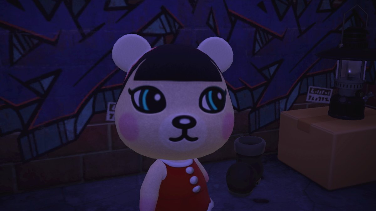 Sibcat_anything tweet media