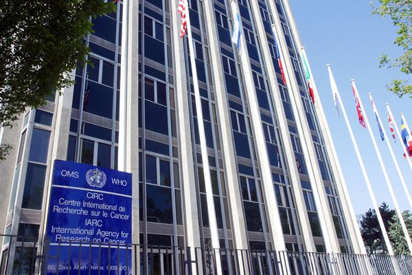 Dr. Mahamat-Saleh Yahya, PhD tweet media