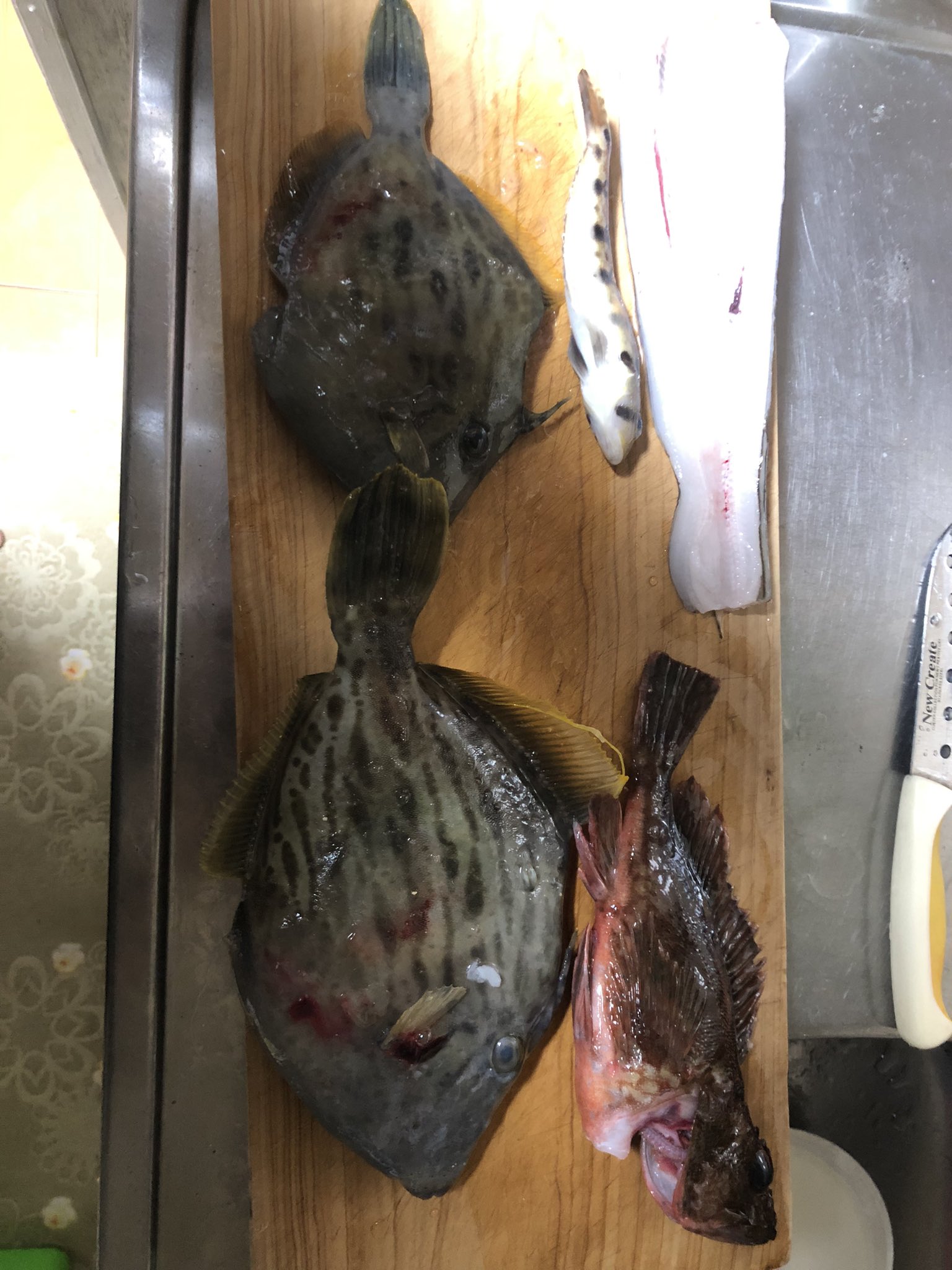 愛媛の本格派投げ釣り師 Kino Twitter
