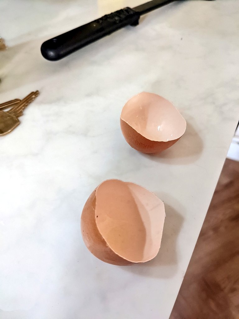 An egg cracked with a single perfect line 👏 
I informed Billie (7) that this is a once in a lifetime moment so she has now washed it ready to take to school tomorrow. A cracking way to return...