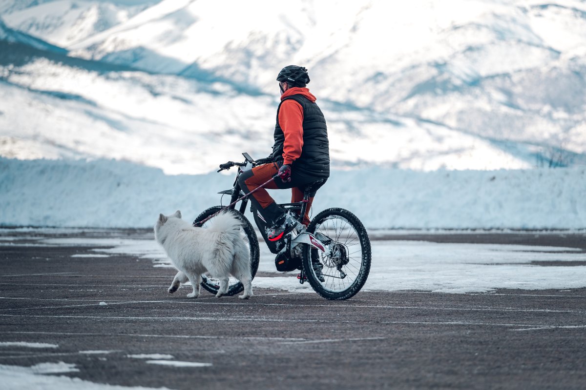 BraihBikes's tweet photo. New year's resolution: 
Create memories with family and friends.

Wishing you a happy and healthy 2⃣0⃣2⃣2⃣!
.
#Braih #Superebikes #ebikes #Happy2022 #HappyNewYear #cyclinglife #familyfun #friendship https://t.co/WYw8lQ1pyh