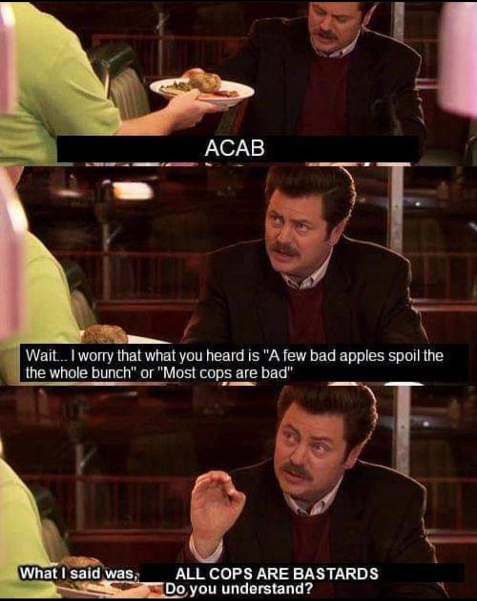 Panel 1: Ron Swanson says ACAB to a waiter. Panel 2: Wait... I worry that what you heard is a few bad apples spoil the whole bunch of most cops are bad. Panel 3: What I said was All Cops Are Bastards. Do you understand?