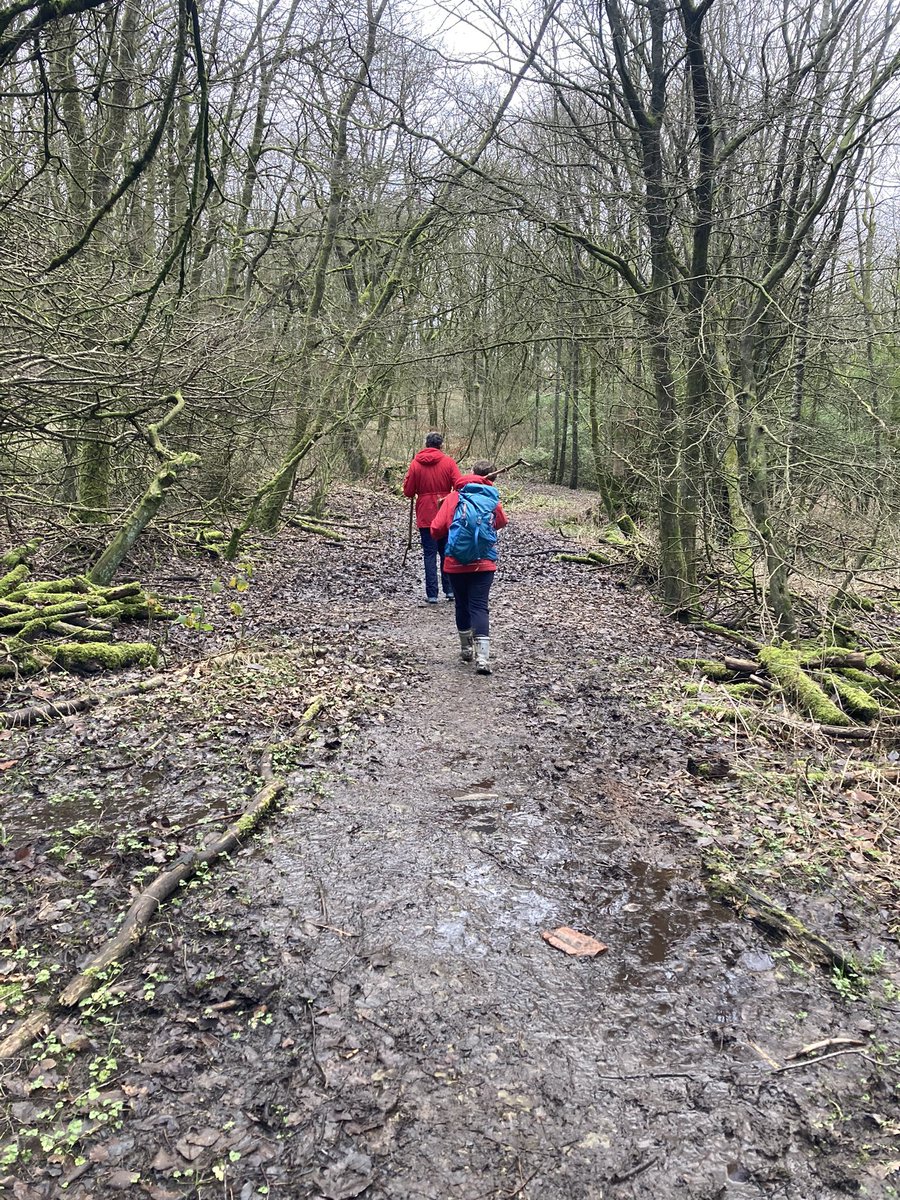 Geography_HHS's tweet photo. Exploring the local area. Wolf watching from the youngest. Stick whacking from everyone! #mud https://t.co/BbOF24LaaV