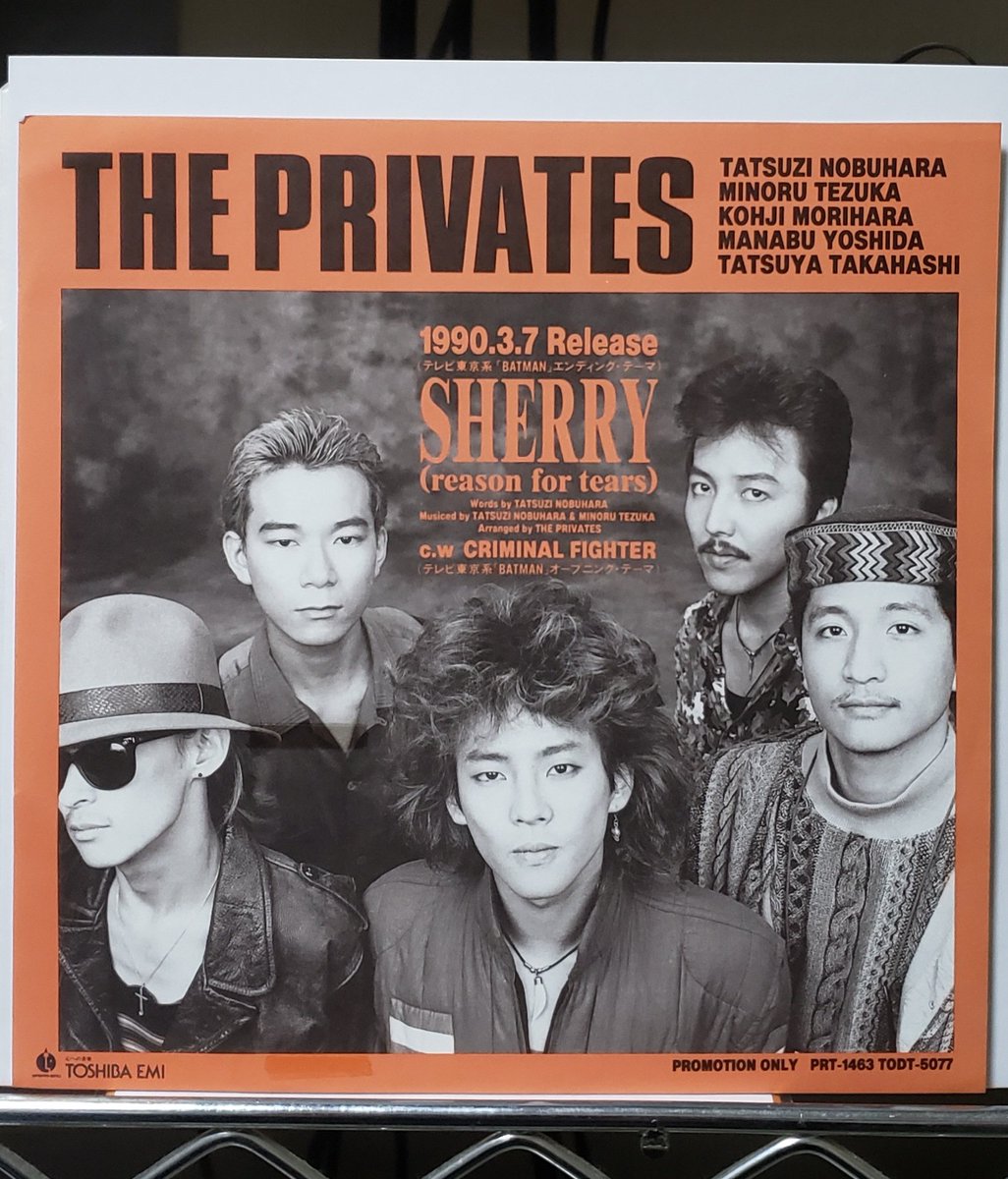THE PRIVATES ザ・プライベーツ 雑誌 切り抜き 258P★デビュー～ THE PRIVATES ザ・プライベーツ 雑誌 切り抜き 258P☆デビュー～ THE