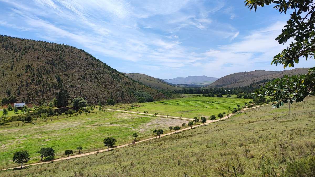 SphereZA's tweet image. Elandskloof Estate for Origins festival at the end of the month is insanely beautiful 😍 site visit done 😁