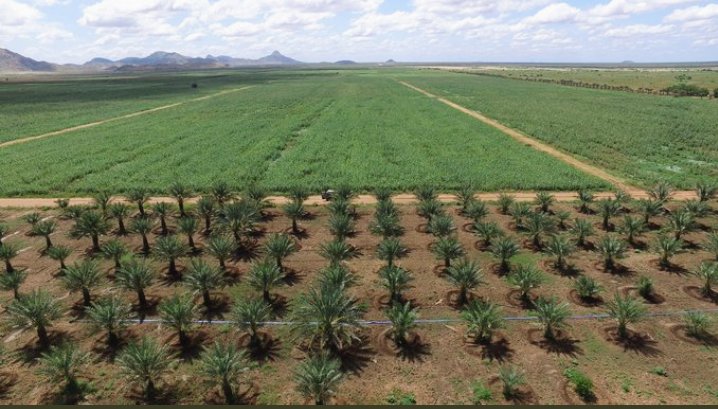 NeslekiEritrea's tweet photo. In the last 30 years, #Eritrea designed and constructed 950 small, medium &amp; large dams to harvest rain water and used to implement modern agriculture. As a result Eritrea has subsequently achieved food security &amp; is the only country that does not accept food aid in the region. https://t.co/G3FGVt7Ybe