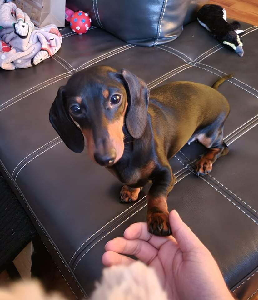 Last day home with my girl before I head back to work after my Christmas break