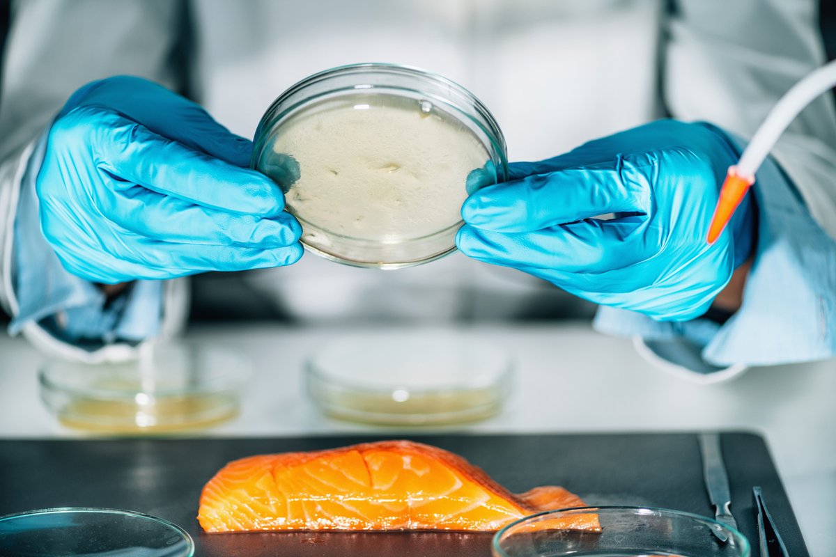 ocvespana's tweet photo. Los veterinarios realizamos planes de prevención en las piscifactorías y estrictos controles en todas las fases. Somos los responsables de asegurar el perfecto estado sanitario de todos los alimentos. #SeguridadAlimentaria #OCV https://t.co/oTkdYwFPmV