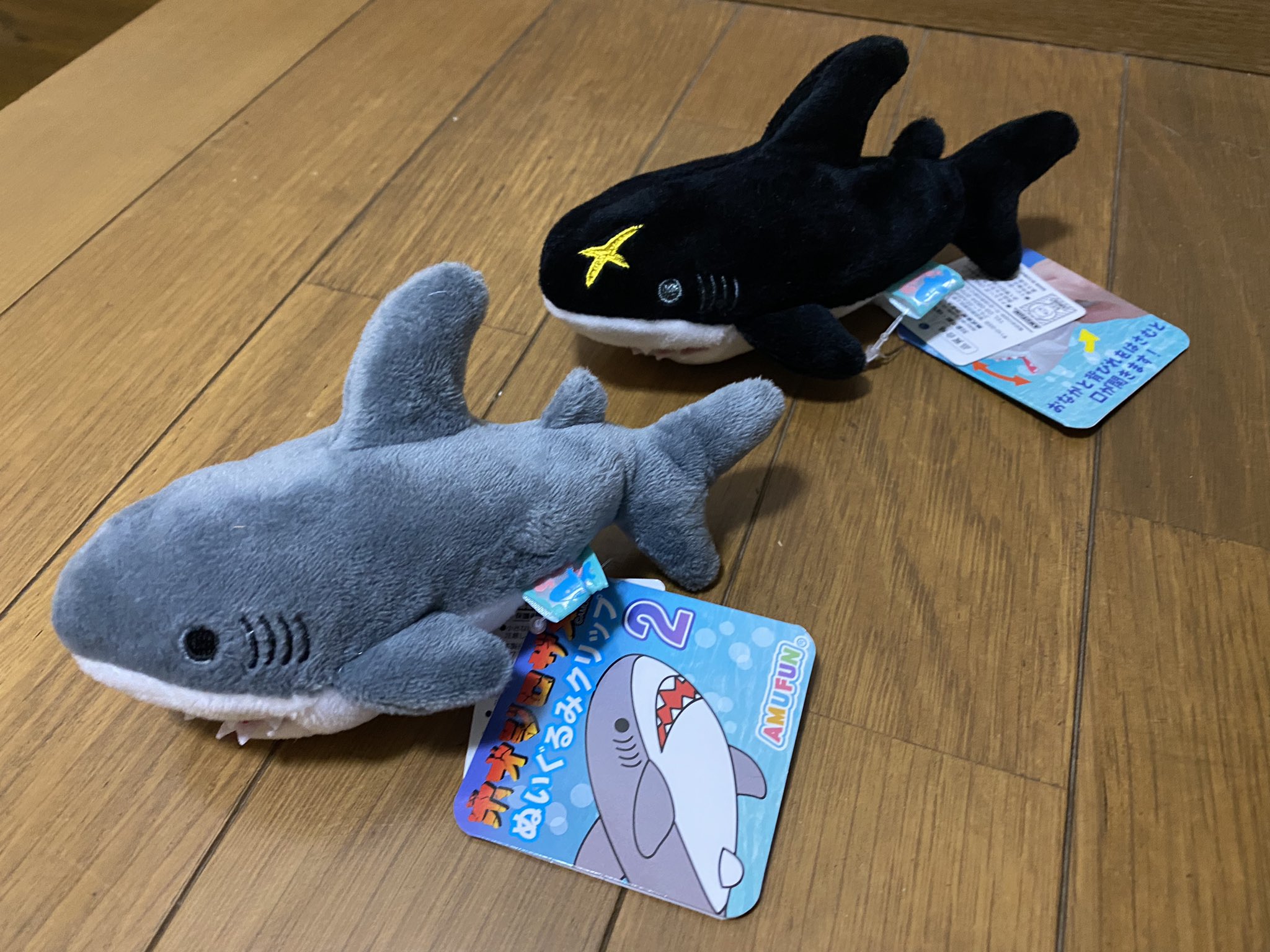 Tweets With Replies By Hammerhead Shark Shark Twitter