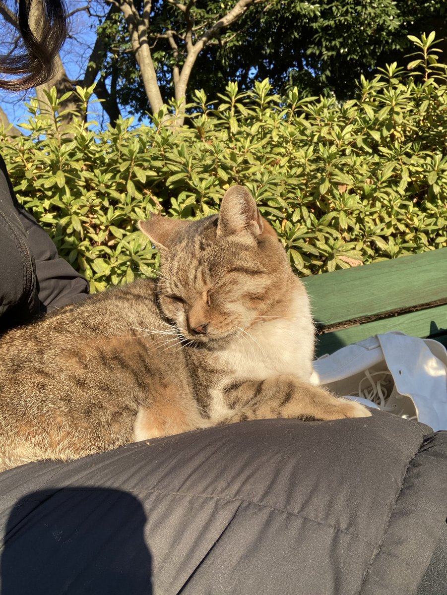 Makimura Maki910 Twitter