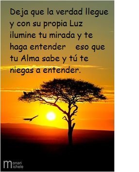 eris2110's tweet photo. Honro tu vida y la Serenidad que palpita en tu corazón.🪄✨✨✨🦋💛 https://t.co/kdFFtZIFnn
