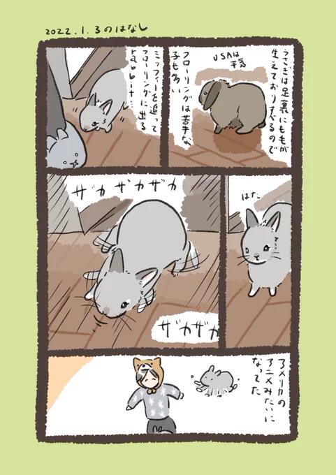 今日のrabbit…とUSA
#うさぎのいる生活 