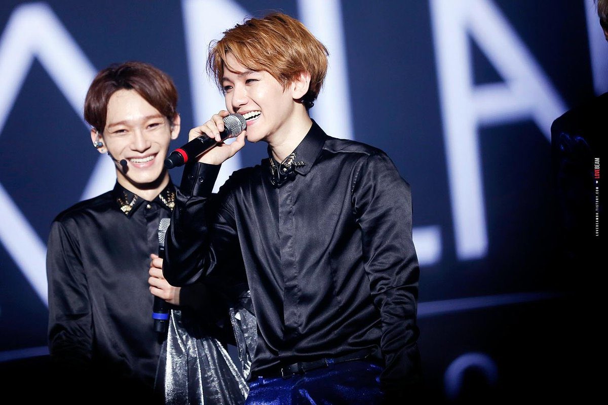 baekchen pics (백챈) tweet media