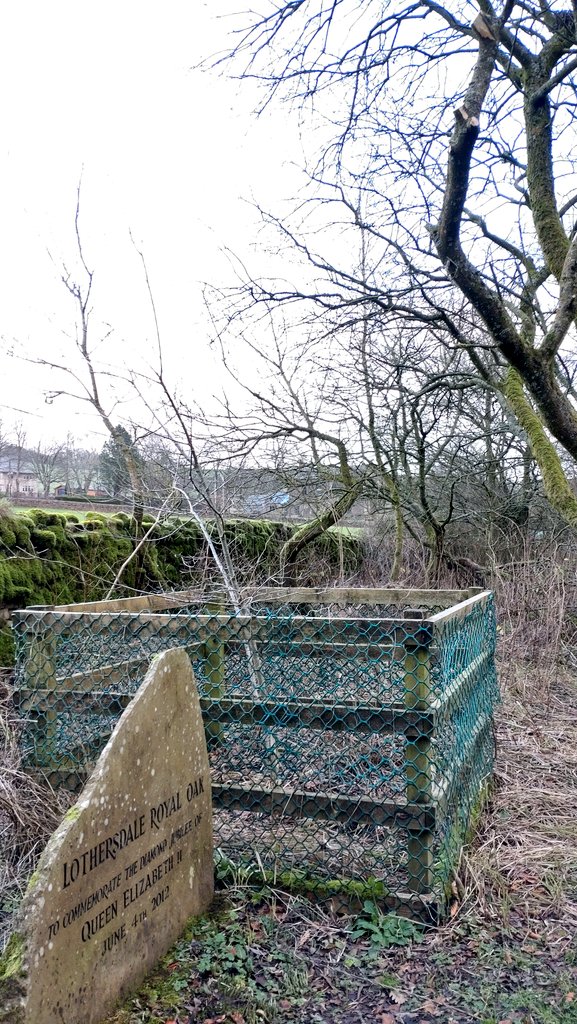LothersdaleWG's tweet photo. One of our commemorative #oaks will be 10 this year. We've been giving it a little #TreeLC by cutting back encroaching willow &amp; raspberry canes, a legacy of former allotment plots. Time to get rid of the plastic too! https://t.co/yNa4iIqM1z