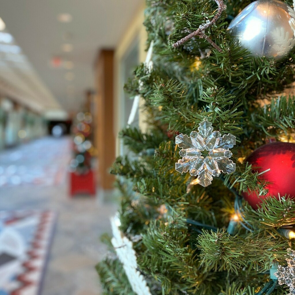 BigDaddyKreativ's tweet photo. I loved all of the festive Christmas decorations throughout Casino Rama Resort.
#orillialakecountry #orilliacwrl21 #orillia #TMACtravel #casinorama #ramarocks #rama https://t.co/ZH68WKW5iD https://t.co/ZbNrumkEOu