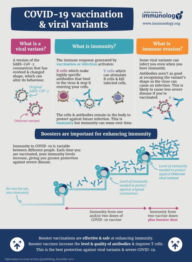YLeyfman's tweet photo. Infographic from British Society for Immunology showing how how variants can evade #immunity and why booster doses are safe and effective at enhancing the #immune response. https://t.co/FWIKEF0Dai