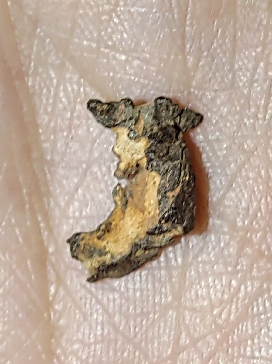 Shaak_Psi's tweet photo. #MeteoriteMonday this time something special!🤩
This is a small piece of the #Imilac #Pallasite which is also known as #MetalSkeleton when it has no #Olivine attached anymore.
Details about this special type of #Meteorite is added in the Tweet below and on the CoA pic. https://t.co/LSSoECHMM1