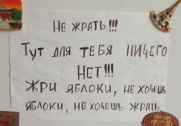 pianistkawlw's tweet photo. Бум, Бум, Митинька! А у меня  холодец- бомба, оторваться нельзя. Приятного аппетита тебе! https://t.co/7wKMdl6fvT