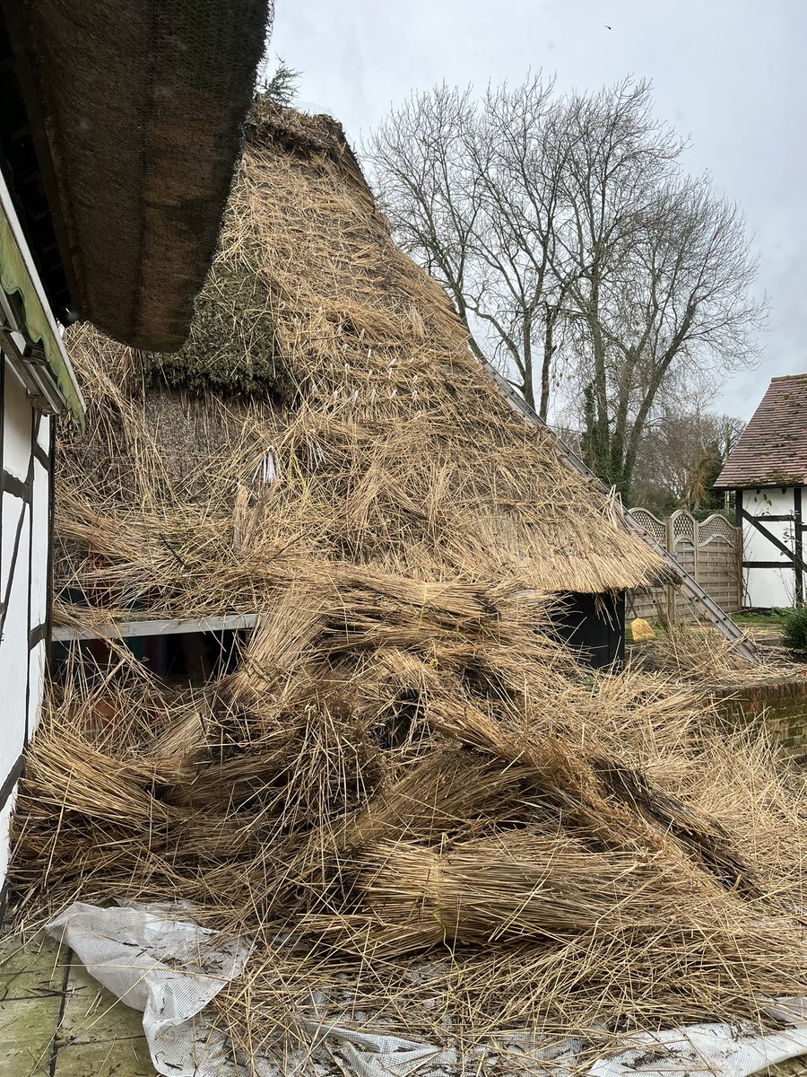WoodroffeFran's tweet photo. First day of the rethatch is underway - in 6 weeks time we should have a beautiful new roof but until then it’s going to be messy! #thatchedcottage #rethatch https://t.co/BaFHiXopp5