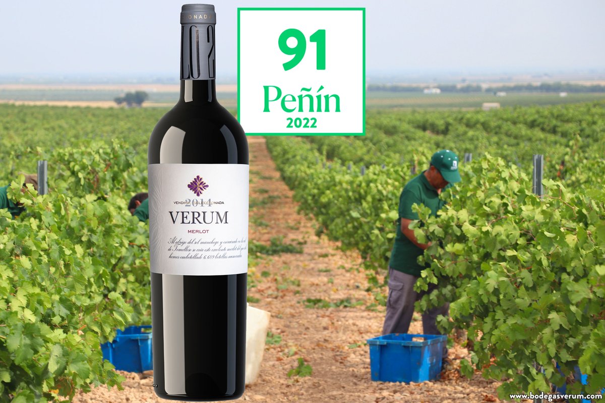 91 puntos para VERUM MERLOT 2014, un vino muy exclusivo  100% #merlot. Con crianza en barrica de roble francés y afinamiento en tinaja de barro.

Como el resto de nuestros vinos, con vendimia a mano y selección en mesa de racimos y granos. 

disponible en bodegasverum.com
