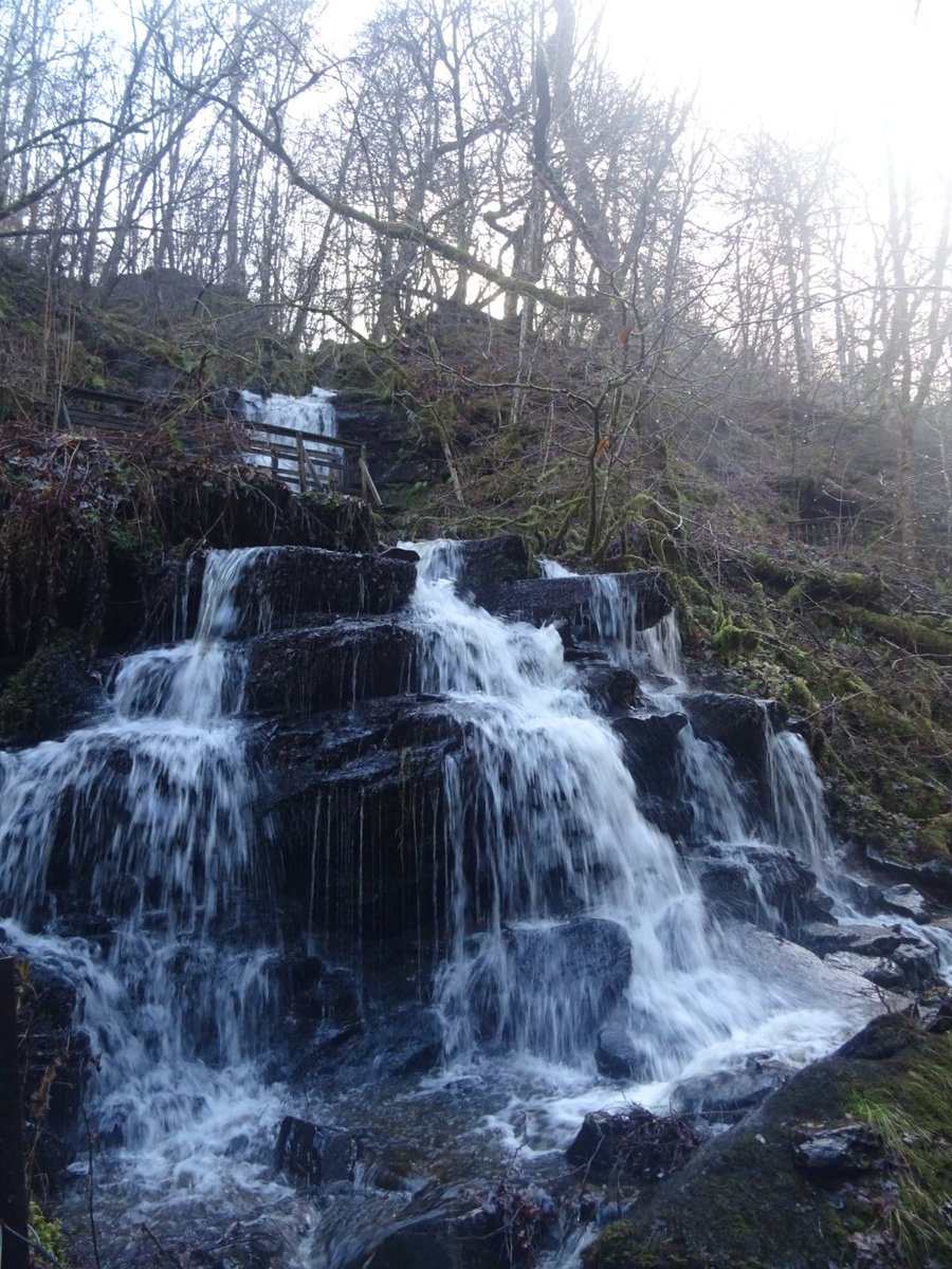 ZooStephen's tweet photo. Wonderful winter waterfall walk at #BirksofAberfeldy @PKCTrust @PerthandKinross @VisitScotland @VisitAberfeldy
#RobertBurns https://t.co/OMQyCc9J0m