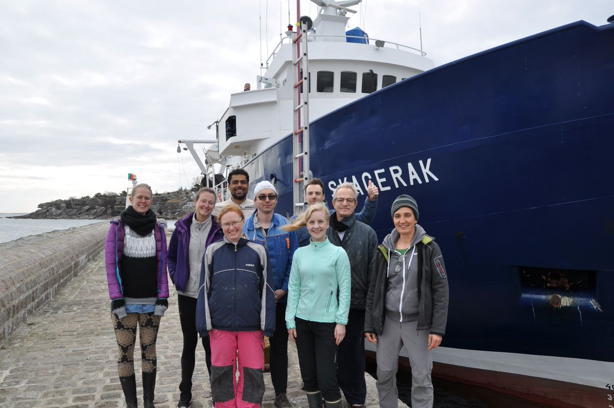 BioGeoSte's tweet photo. Nitrogen paper out!
How does benthic N cycling look like after oxygenation of long-term anoxic sediments?
#N2O #NH4 #hypoxia #denitrification #DNRA #openaccess #BalticSea
Read more here 👇
https://t.co/2LmqV4vzzy https://t.co/tei7K6ZkZw