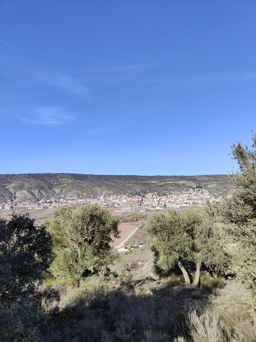 "¿Environmental? Pero si yo soy de pueblo. Environmental lo que haga falta."