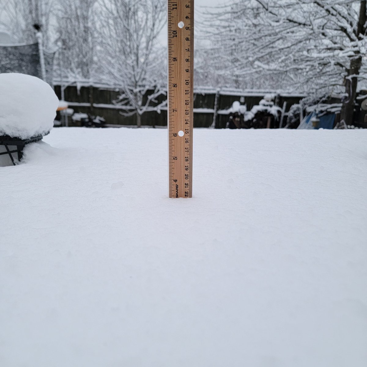 ericasroberts's tweet photo. @NashSevereWx Patio table in Cane Ridge has 3 1/4 inches this morning. https://t.co/SEx83wjOfl