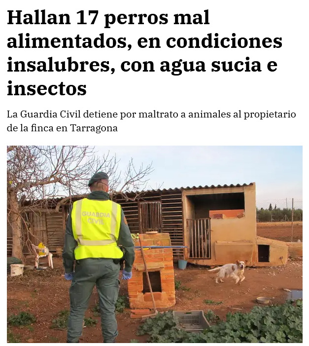 DETENIDO EL CAZADOR, SÍ, CAZADOR ⛓️

Además el tipo es un mentiroso: "Tras un primer aviso, el hombre se comprometió a mejorar las condiciones de los animales".

Pues si amig@s, otra caso aislado 🤔