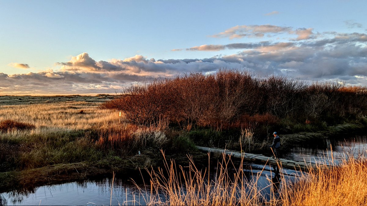 Copalis_Beach's tweet photo. #CopalisBeach #sunsetphotography #nature #HiddenCoast #WashingtonCoast https://t.co/6yeBOEJBRQ