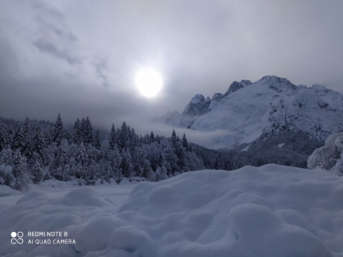 TurismoFVG tweet media