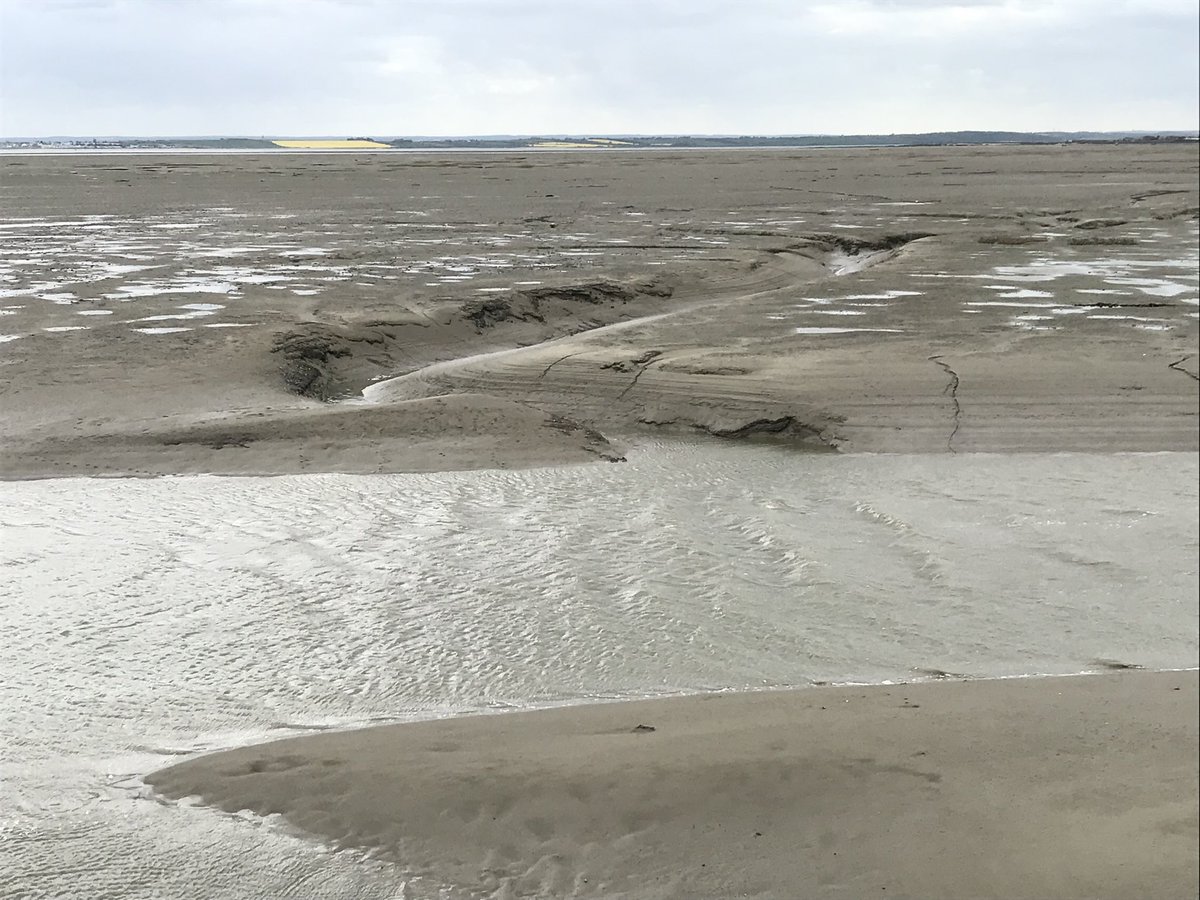 2019Thames's tweet photo. The tide is a place somewhere between the land and the sea. #thamesestuary #leighonsea #southendonsea #queenborough #medwayriver #lowerhalstow #thamesriver #thamesriverside https://t.co/HfmgX4I9Sr