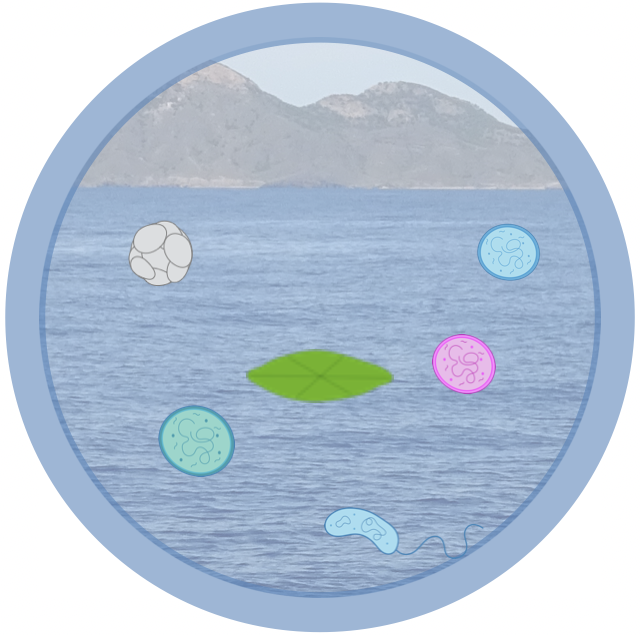 IsabelFerreraC's tweet photo. ¿Te dedicas a la Ecología Microbiana y te gustaría venir al @IEO_Malaga? 🦠🌊🚢
Hay 4 convocatorias distintas abiertas o por abrir:
JdlC y RyC 
Emergia (tipo RyC) y Proyectos Jóvenes Junta Andalucía
Si quieres presentarte con esa línea, envíame un mensaje. Se agradece RT. https://t.co/16olA0iGwu