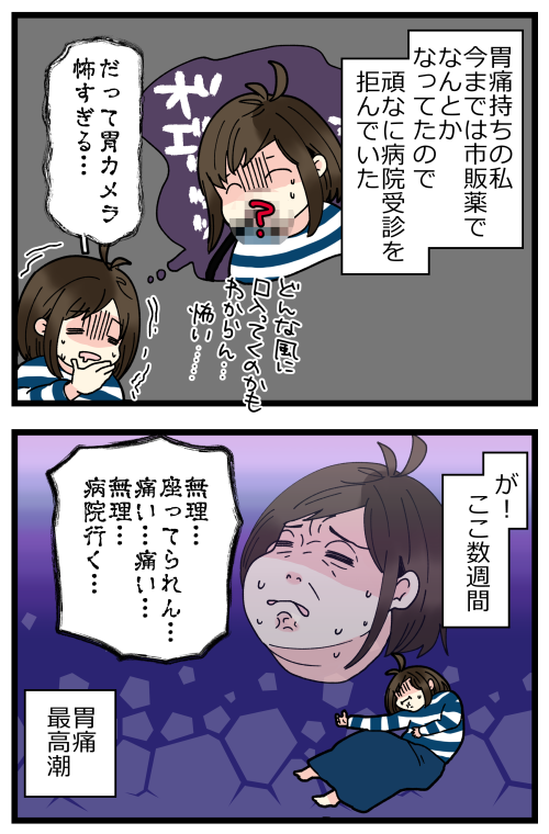 昨年末に胃を痛くして恐怖に震えた話、その1です。
2ヶ月くらい胃が痛いのが治まらんくて困ってましたが、今現在は薬が効いて平穏を取り戻してるのでご心配なく…!! 