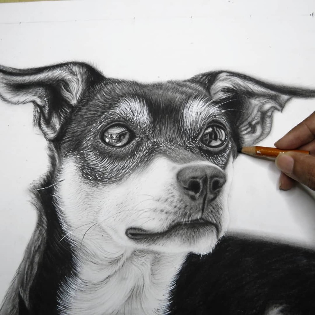 Work in progress 😊 Online class demonstration ✏️ Almost completed , background still incomplete.

#hariarts #hariprasadsukumaran #hariartsacademy #hyperrealisticdrawing #hyperrealism #photorealism #photorealisticartist #photorealisticart #hyperrealis… instagr.am/p/CYRM0k3BDBU/