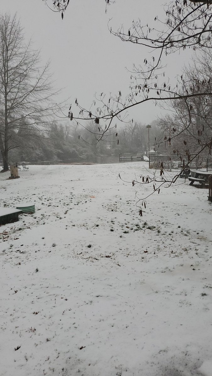 TechEdge2012's tweet photo. @Eileen7News still some sleet mixing in Abell MD.. https://t.co/4mjM5vYfQY