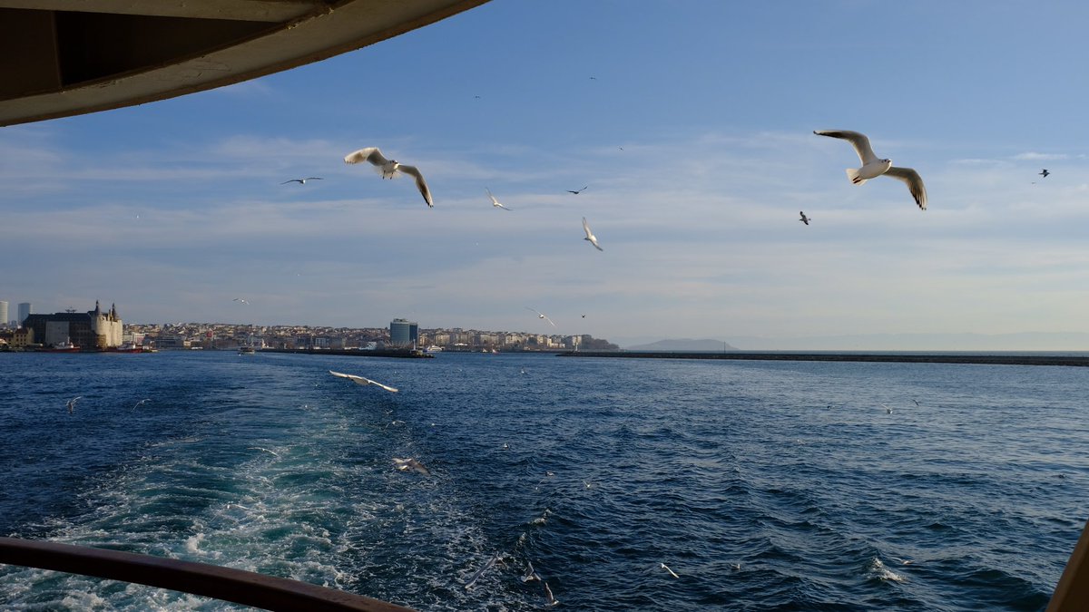 afkarasu's tweet image. #vapuring #karaköy #kadıköy