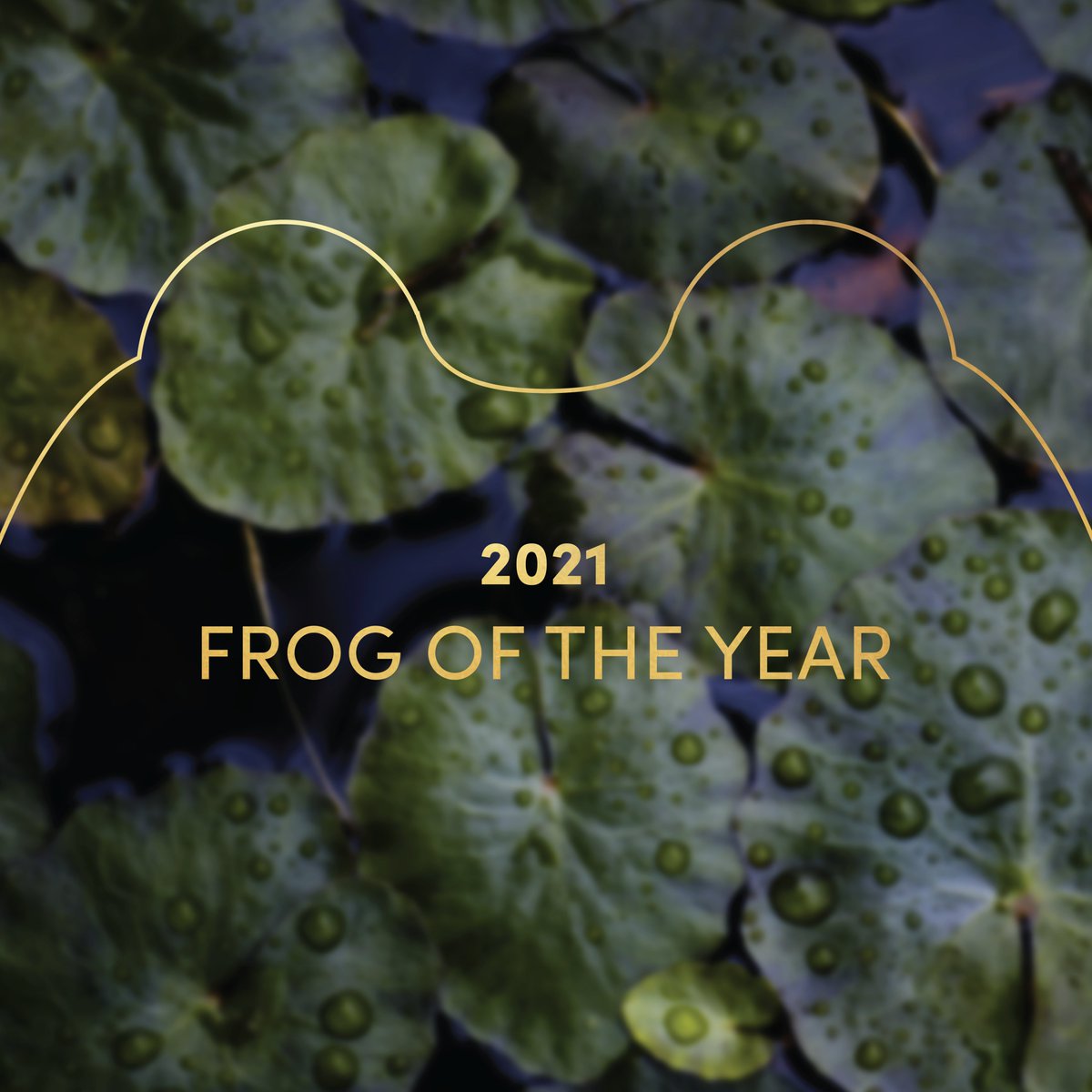 WHO'S THAT FROGGY FRIEND? IT'S...

available for you to listen right now :)  Find out who the 2021 FROG OF THE YEAR is in today's special episode!

⭐  anchor.fm/frogoftheweek/… ⭐