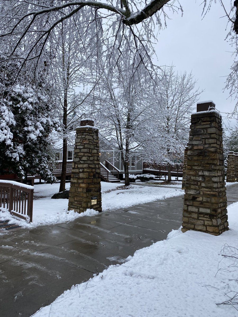 Philip Hicks tweet media