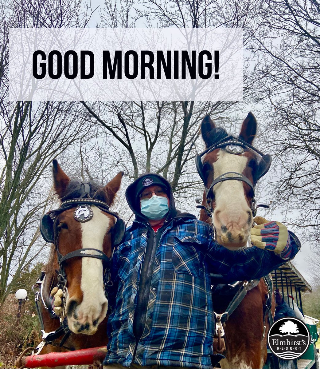 ElmhirstsResort's tweet photo. It’s the first Monday of 2022. Let’s start it in a cool way - Monday morning best wishes to all for a pleasant week ahead from our Clydesdales, Bob &amp; Mac and Farm Manager Albert Barry 🌼
#MondayMotivation #mindbodywellness #StayPositive #HappyNewYear #clydesdale #horsesofTwitter https://t.co/Fauuug0qbM