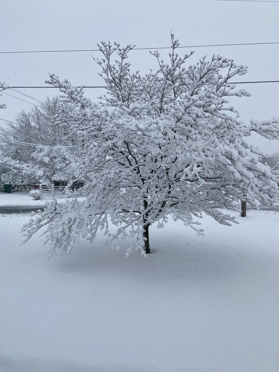 Debbie Jessup tweet media